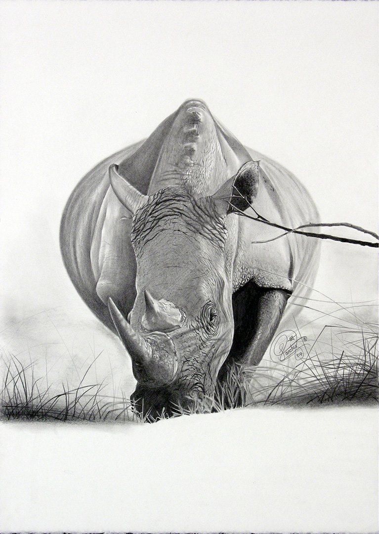 african wildlife2.jpg